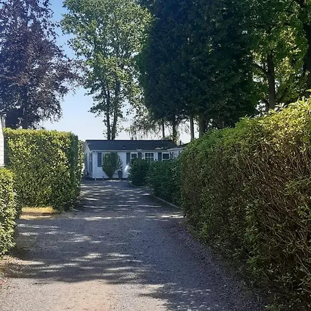 Chalet Valkenbosch Groenvink 85 Oisterwijk